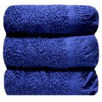Bunty's Plush 380GSM 030x050cms Fringe Guest Towel 03 Piece Towel Set Estate Blue