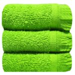 Bunty's Plush 380GSM 030x050cms Fringe Guest Towel 03 Piece Towel Set Jasmine Green