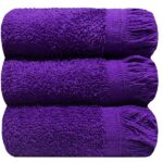 Bunty's Plush 380GSM 030x050cms Fringe Guest Towel 03 Piece Towel Set Royal Lilac