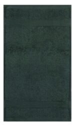 Plush 450GSM 30x50cms Guest Towels - Image 22