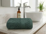 Plush 450GSM 50x90cms Hand Towels - Image 26
