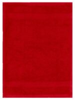 Plush 450GSM 30x50cms Guest Towels - Image 21