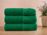 Plush 380 GSM Terry Fringe Guest Towel - Image 74