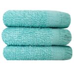 Bunty's Plush 450GSM 030x050cms Fringe Guest Towel Harbour Grey 03 Piece Pack