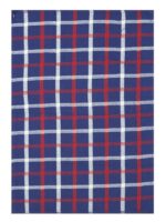 Bunty's Kitchen Towel - Design 2031 - 045x070cms - (05 Pc Pack) - Checks - Image 3