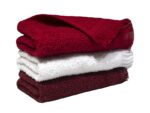Fringe Guest Towel 380GSM - 03 Piece Pack - Assorteds - Image 6