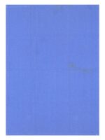 Bunty's Kitchen Towel - Design 2046 - 050x070cms - (05 Pc Pack) - Plain - Image 7