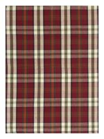 Bunty's Kitchen Towel - Design 2120 - 048x074cms - (05 Pc Pack) - Checks - Image 3