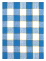 Bunty's Kitchen Towel - Design 2394 - 045x069cms - (05 Pc Pack) - Checks - Image 4